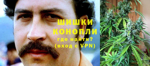 метадон Заводоуковск