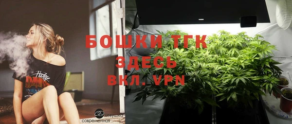 метадон Заводоуковск